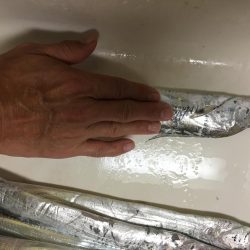 ハマチ、太刀魚